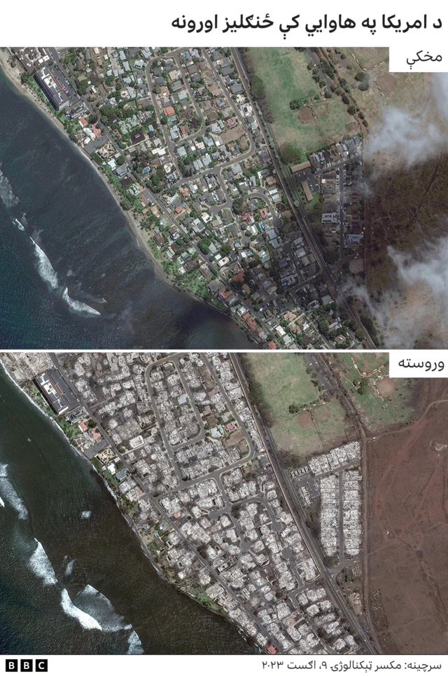 ځنګليز اورونه