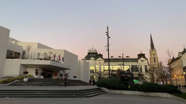 Godinama je bio prvak drame Srpskog narodnog pozorišta u Novom Sadu