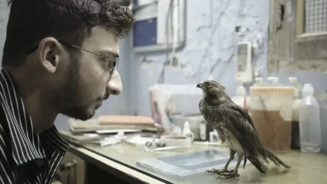 Film dokumenter 'All That Breathes'