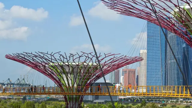 சிங்கப்பூர்