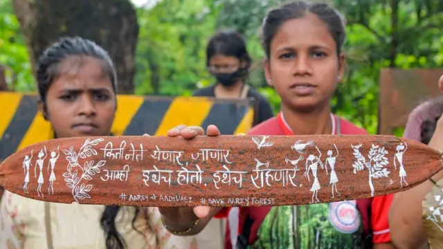 आरे कॉलनी