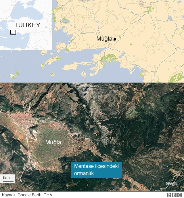 Muğla haritası.
