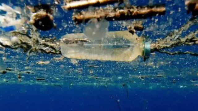 Plastic Pollution