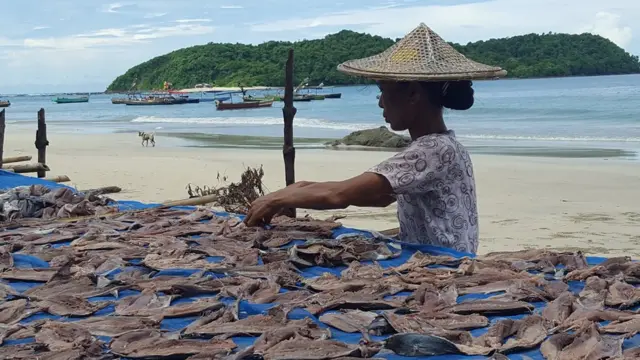 ငါးဖမ်းထွက်နိုင်တာနည်းလို့ ငါးဖမ်းဆီးရမှုတွေကျဆင်း