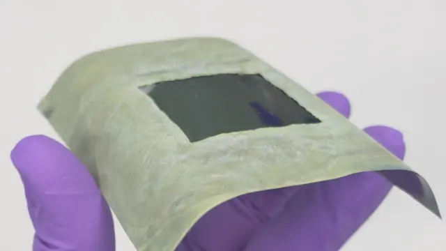 "ใบไม้" มีตัวดูดซึมแสง 2 แบบ ที่เก็บเกี่ยวแสงอาทิตย์ได้