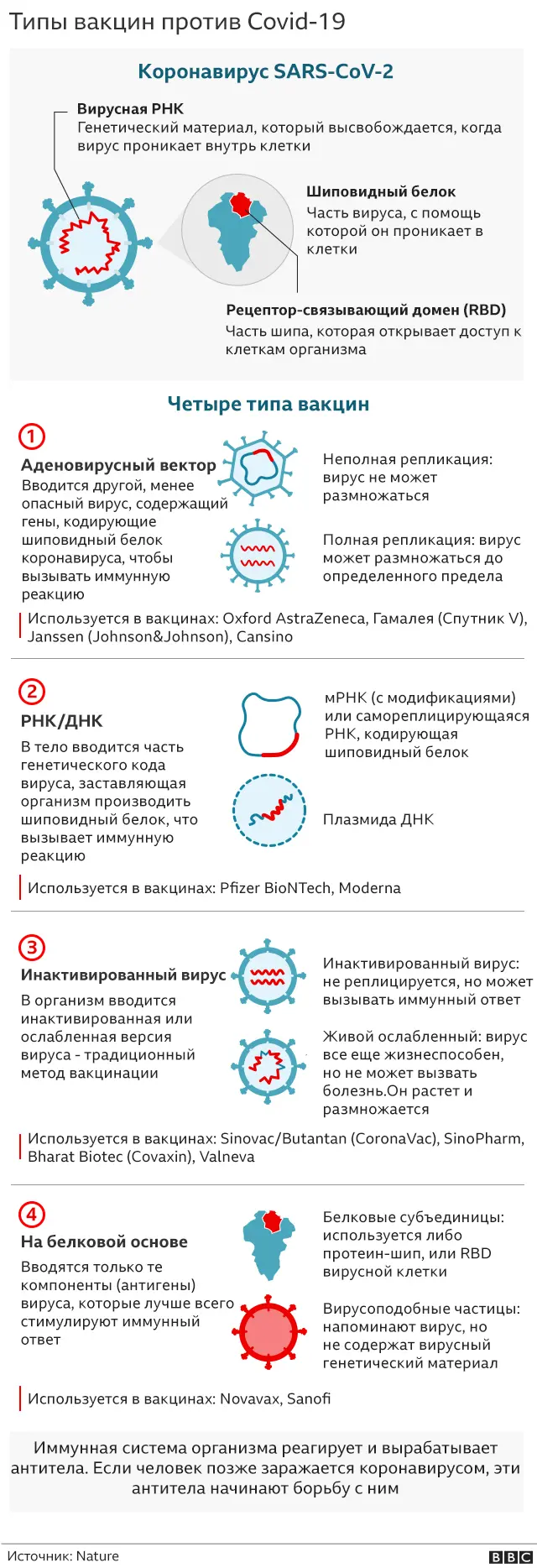 Вакцинация против COVID в России — Википедия