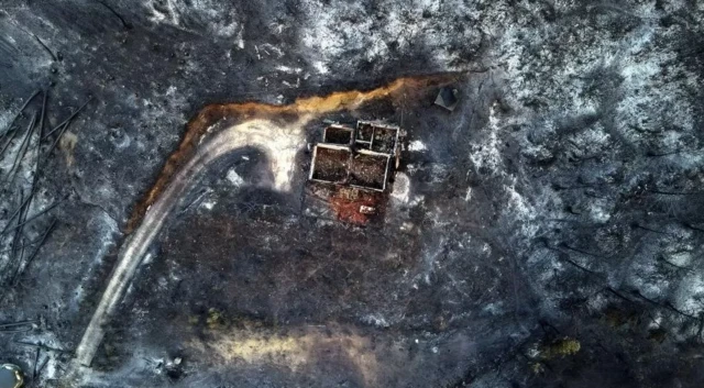 ဂရိ၊ တောမီးလောင်၊ နိုင်ငံရွှေ့ပြောင်း