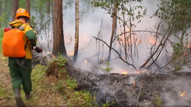 Лесной пожар