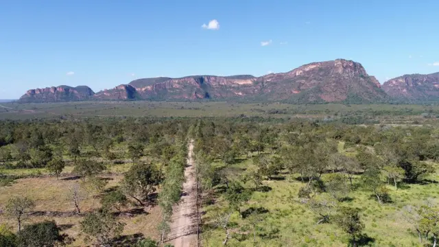 Vista aérea do Cerrado, com montanha ao fundo e caminho de terra entre vegetação rasteira