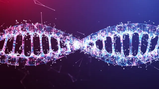 સંશોધકો માને છે કે તેમને મનુષ્ય જેવી જ નવી પ્રજાતિ મળી આવી છે