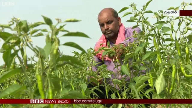 రైతు విజేంద్ర