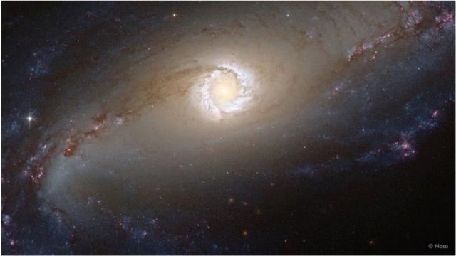 黑洞中心的奇点能产生强烈的热量，令辐射超级明亮，向四面八方喷射。