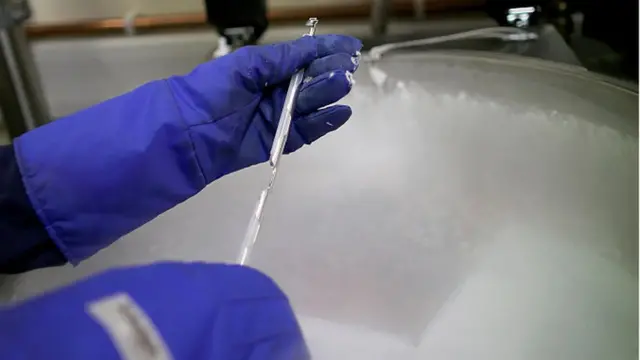 સાંકેતિક તસવીર