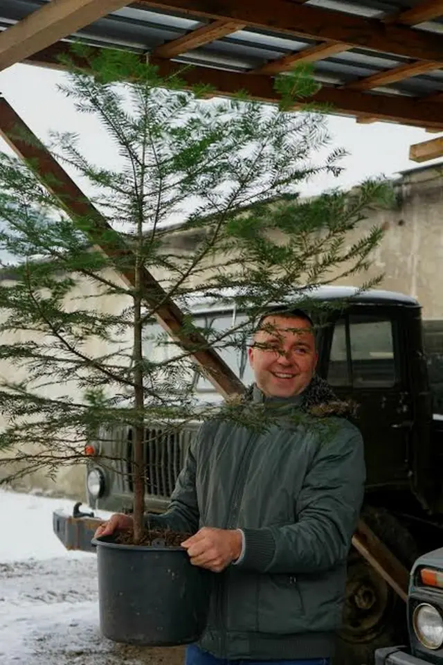 Чоловік із ялинкою у горщику