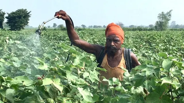 सुरक्षा साधनांशिवाय फवारणी