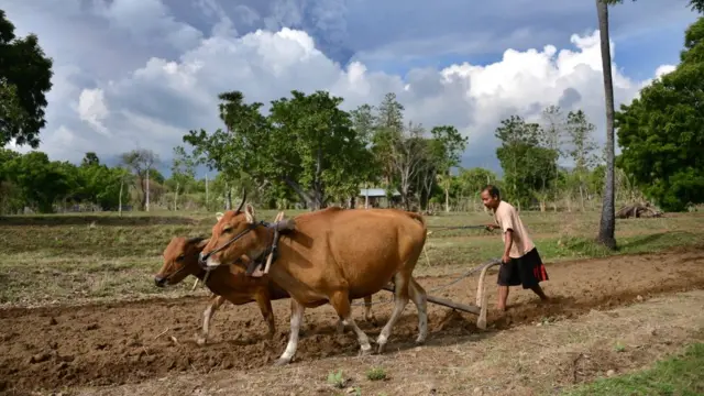 Вулкан Агунг