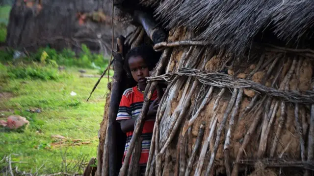 ኣብ ሰቐላ ውሽጢ