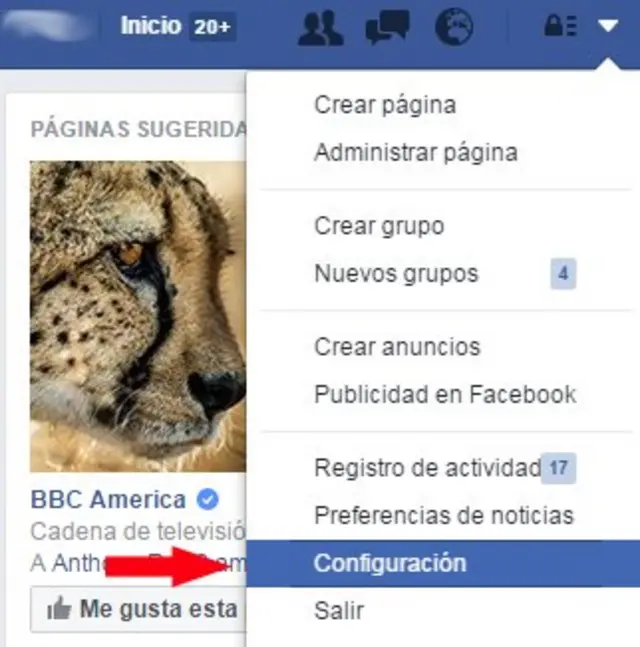 Imagen del menú desplegable de Facebook