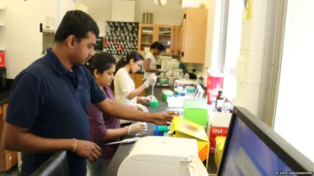 Graduate students of Dr Karunarathne's lab performing experiments