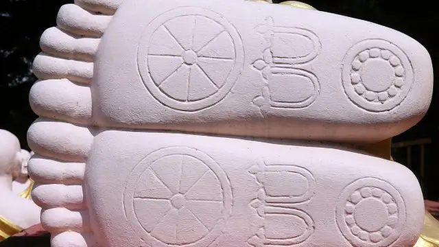 Judged by body features