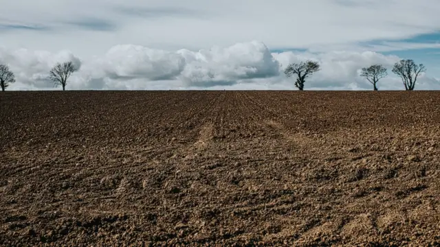 નવી શરત અને જૂની શરતની જમીન વચ્ચે શો પાયાનો ફેર હોય છે?