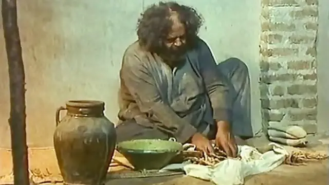 محمد علی کشاورز