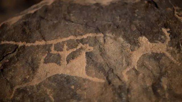 हिमा नजरान, सऊदी अरब