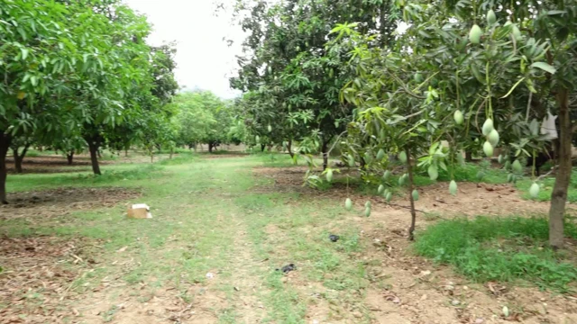 బిందు, తుంపర్ల సేద్యం