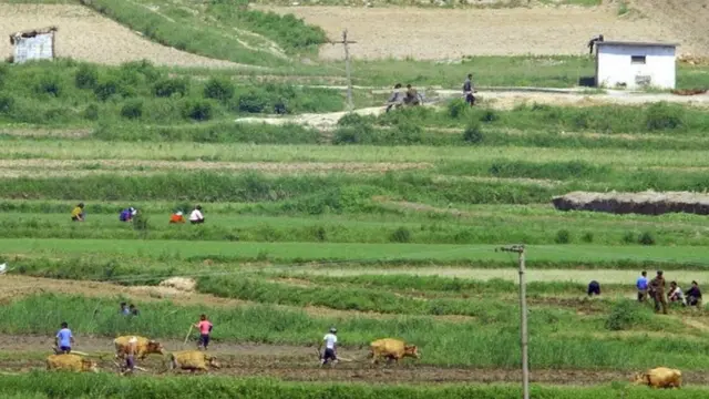 شمالی کوریا