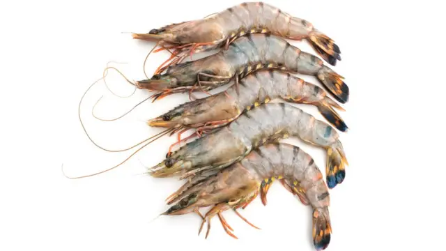 Voyaga etgan jinsiy aloqa