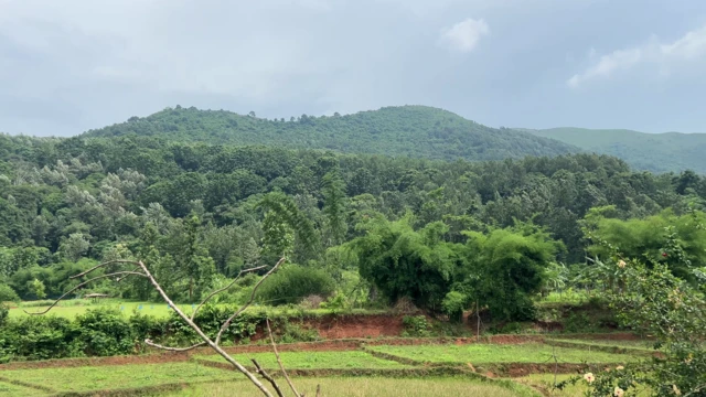 ఆంధ్రప్రదేశ్