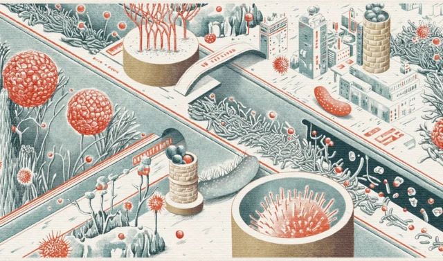 Illustration de bactéries et du circuit de l'eau.