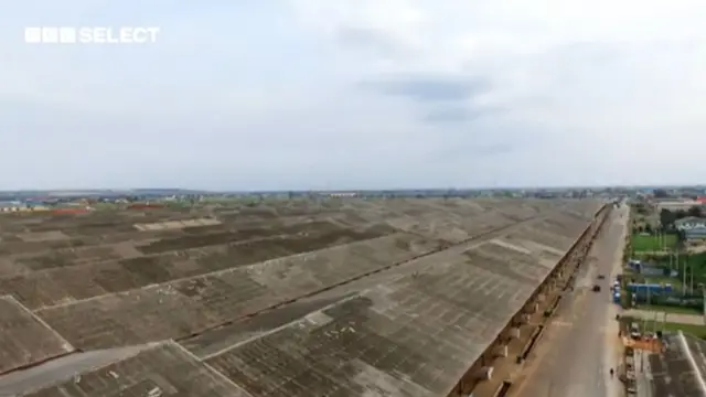 Waldaa amantoota miiliyoona tokko qabatu