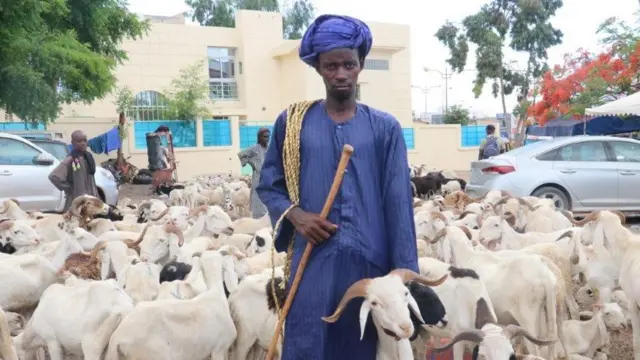 Un éleveur pose pour une photo près d'agneaux sacrifiés sur un marché de bétail dans le cadre des préparatifs de l'Aïd al-Adha à Dakar, au Sénégal, le 28 juillet 2020.