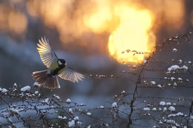 At Sunset by Mateusz Piesiak