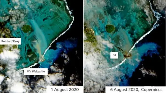 मॉरीशियस में हो रहा तेल रिसाव इतना गंभीर क्यों है