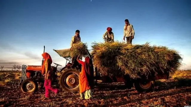 पंतप्रधान नरेंद्र मोदी, कृषी कायदे, शेती, पंजाब, हरयाणा,