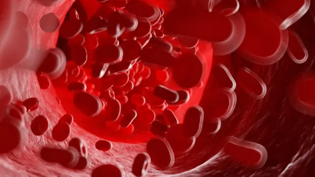 ரத்த அணுக்கள்