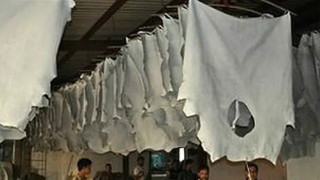 কেন্দ্রীয় বর্জ্য শোধনাগারের সক্ষমতার চেয়ে বেশি বর্জ্য হওয়ায় তা নদীতে যাচ্ছে বলে অভিযোগ উঠেছে