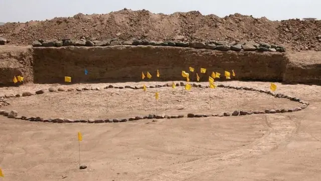 హోమినిన్స్