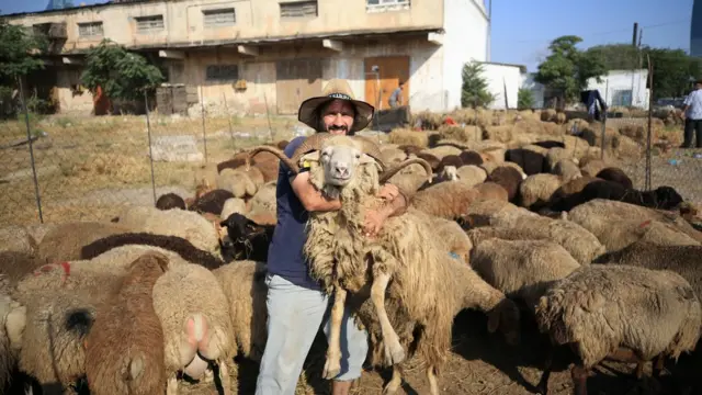 Bakıda bir kişi Qurban bayramı üçün heyvan bazarından qurbanlıq alır