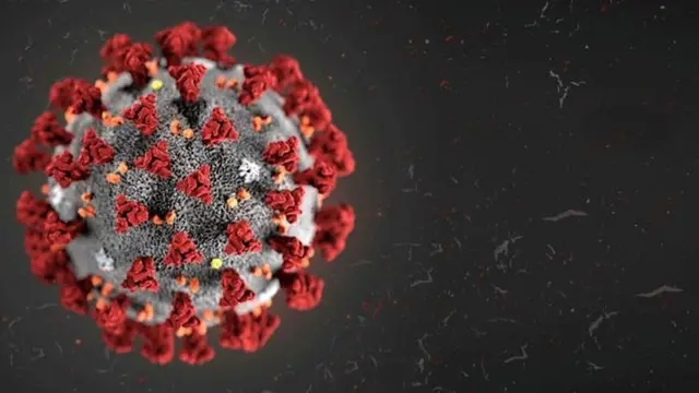 कोरोनाभाइरस