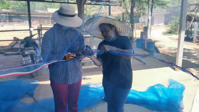 กาฬโรคแอฟริกาในม้า