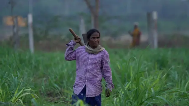 அரியலூர்