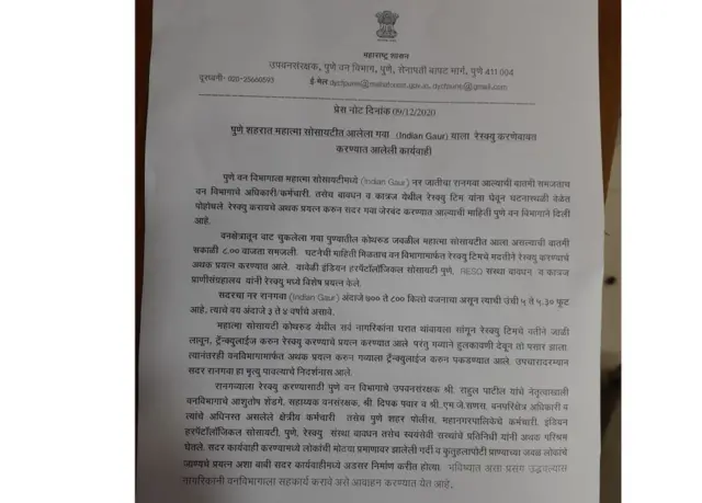 पुणे गवा