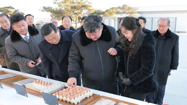 پدر و دختر در یک مرغداری در نزدیکی پیونگ یانگ