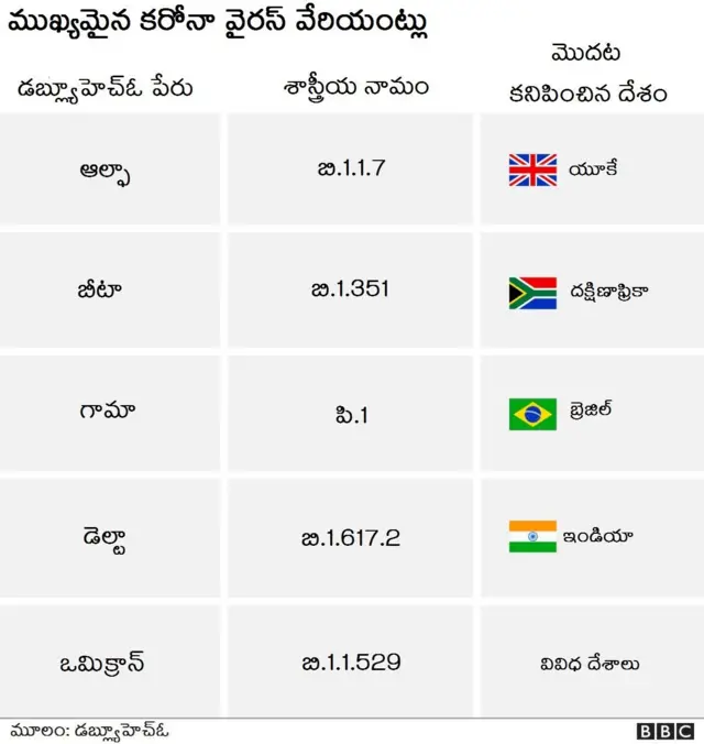 కేసులు పెరిగిన కొద్దీ మ్యుటేషన్లు కూడా పెరుగుతాయి.