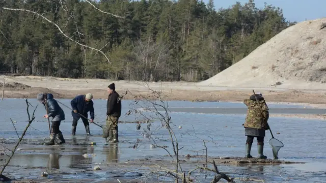 видобування Бурштину