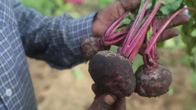 "අපේ පැත්තේ බීට් කලුපාටයි"