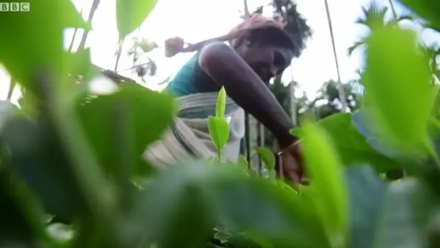 అసోం ఎన్ఆర్‌సీ జాబితా